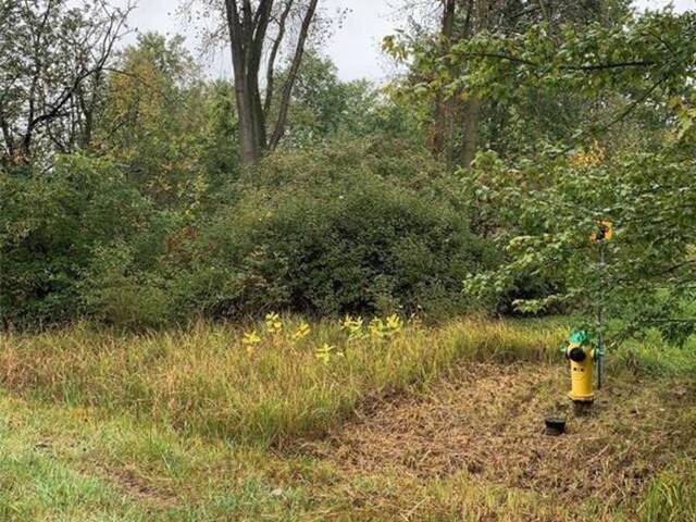 V/L BRUSH SIDE ROAD Essex Ontario, N8M 2X6 - Vacant Land For Sale