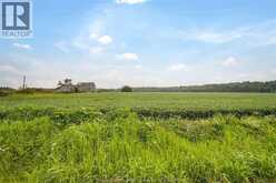 1094 HALE SCHOOL ROAD | Chatham-Kent Ontario | Slide Image Four