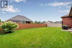 2 PRIMROSE | Kingsville Ontario | Slide Image Nine