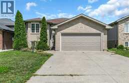 692 DYNASTY | Windsor Ontario | Slide Image One