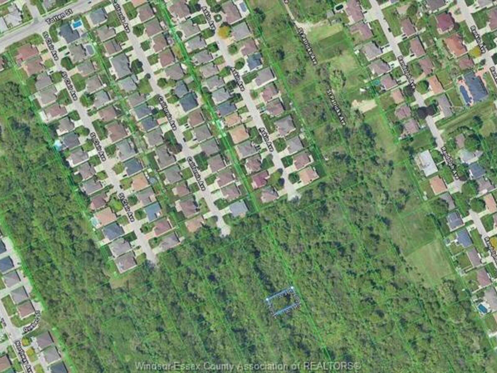 V/L CALIFORNIA, Windsor, Ontario N9B 2N9