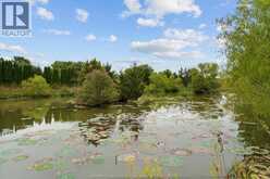 4913 CONCESSION RD 4 East | Harrow Ontario | Slide Image Eight