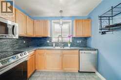 2163 CURRY | Windsor Ontario | Slide Image Fourteen