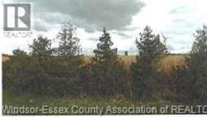 V/L EAST RUSCOM RIVER Unit# SOUTHERN | Lakeshore Ontario | Slide Image Four