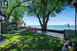 752 Point Pelee | Leamington Ontario | Slide Image Thirty-one