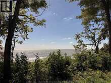 537 South Shore | Pelee Island Ontario | Slide Image Eleven