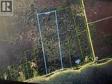 537 South Shore | Pelee Island Ontario | Slide Image One