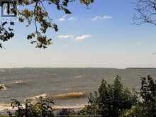 537 South Shore | Pelee Island Ontario | Slide Image Three