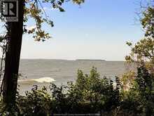 537 South Shore | Pelee Island Ontario | Slide Image Four