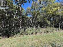 537 South Shore | Pelee Island Ontario | Slide Image Five