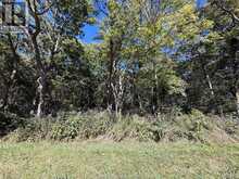 537 South Shore | Pelee Island Ontario | Slide Image Six