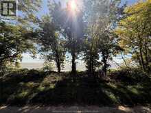 537 South Shore | Pelee Island Ontario | Slide Image Seven