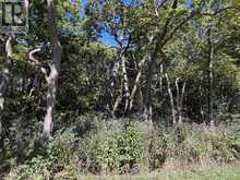 537 South Shore | Pelee Island Ontario | Slide Image Eight