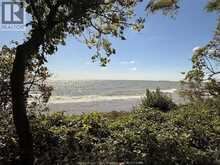 537 South Shore | Pelee Island Ontario | Slide Image Nine