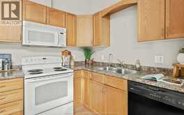 40 TOFFLEMIRE | Amherstburg Ontario | Slide Image Fifteen