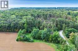21096 Cemetery ROAD | Wheatley Ontario | Slide Image Forty-five