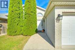 836 Dynasty | Windsor Ontario | Slide Image One