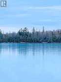 PL5C3 Billings Otter Lake Road | Mindemoya Ontario | Slide Image Twelve