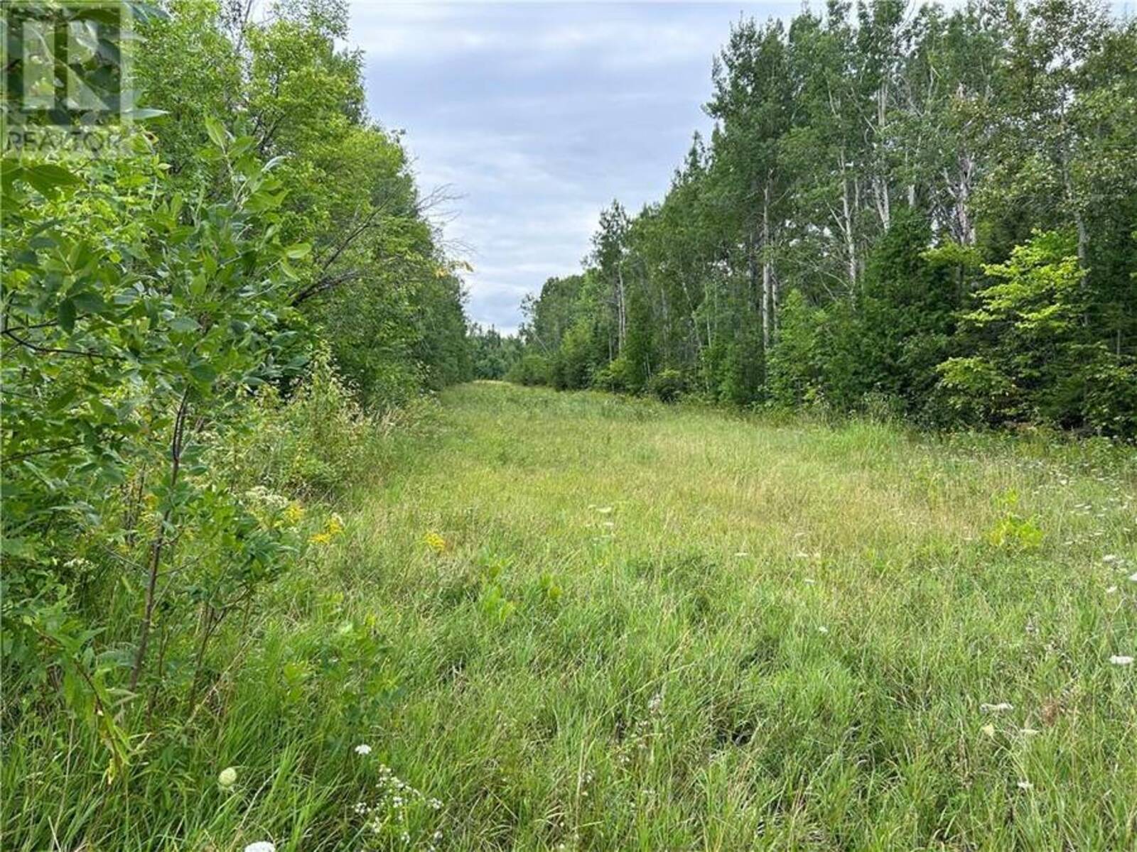 Lot 31 Cardwell Street, Manitowaning, Ontario P0P 1N0