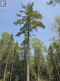 Lot 2 Sandy Point Rd | Manitoulin Island Ontario | Slide Image Six