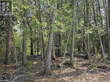 Lot 2 Sandy Point Rd | Manitoulin Island Ontario | Slide Image Seven