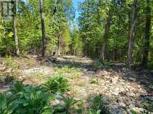 Lot 2 31M-209 Water Street | Meldrum Bay Ontario | Slide Image Twelve