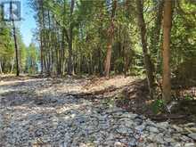 Lot 2 31M-209 Water Street | Meldrum Bay Ontario | Slide Image Fifteen