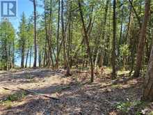 Lot 2 31M-209 Water Street | Meldrum Bay Ontario | Slide Image Sixteen