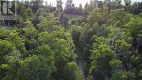 Lot 4 Green Bay Shores | Manitoulin Island Ontario | Slide Image Eight