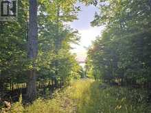 Lot 4 Green Bay Shores | Manitoulin Island Ontario | Slide Image Nine