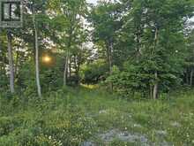 Lot 3 Green Bay Shores | Manitoulin Island Ontario | Slide Image Fourteen