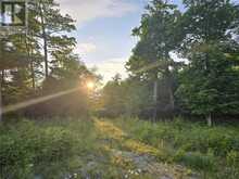 Lot 3 Green Bay Shores | Manitoulin Island Ontario | Slide Image Fifteen