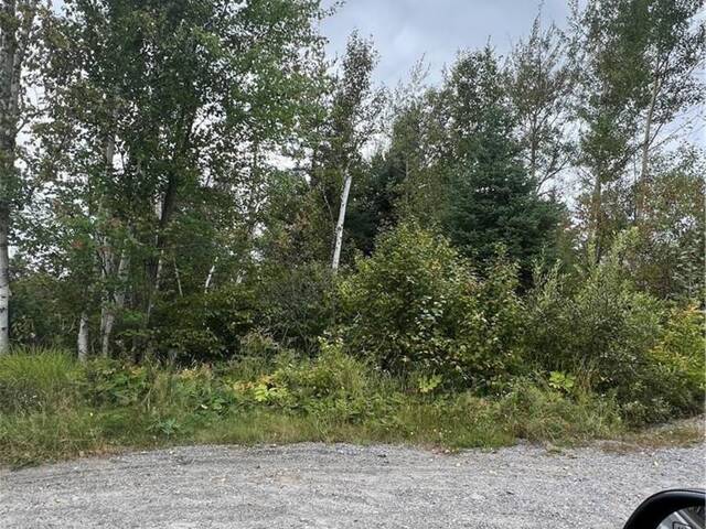 0 HWY 537 Wanup Ontario, P3E 4N1