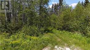 0 Hough Lake Road | Temiskaming Shores Ontario | Slide Image Twelve