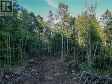 N/A Island Road Unit# Lot 2 | Whitefish Ontario | Slide Image One