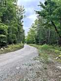 PL28&27C1 Allan Cyrus Line | Spring Bay Ontario | Slide Image Twenty-five