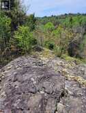 PCL 4766 Wabagishik | Sudbury Ontario | Slide Image Seven