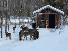 92 Lilly Crescent | Manitoulin Island Ontario | Slide Image Eight