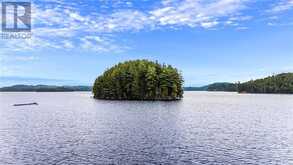 1 Windy Lake Sugarloaf Island | Greater Sudbury Ontario | Slide Image Twenty-six