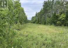 Lot 31 Cardwell Street | Manitoulin Island Ontario | Slide Image One