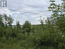 Lot 31 Cardwell Street | Manitoulin Island Ontario | Slide Image Eight