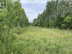 Lot 31 Cardwell Street Manitoulin Island Ontario, P0P 1N0