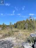 356 Cedar Tree Trail | Manitoulin Island Ontario | Slide Image Twenty-eight