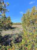 356 Cedar Tree Trail | Manitoulin Island Ontario | Slide Image Seven