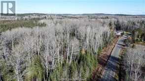 Part 3 Hungarian Road | Greater Sudbury Ontario | Slide Image Thirteen