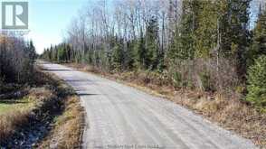 Part 2 Hungarian Road | Greater Sudbury Ontario | Slide Image Eight