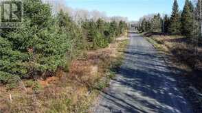 Part 1 Hungarian Road | Greater Sudbury Ontario | Slide Image Fifteen