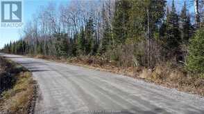 Part 1 Hungarian Road | Greater Sudbury Ontario | Slide Image Four