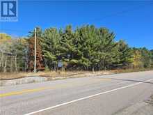 Lot 8 Hwy 64 | French River Ontario | Slide Image Four