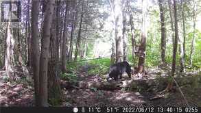 Lot 0 Whitewater | Greater Sudbury Ontario | Slide Image Sixteen